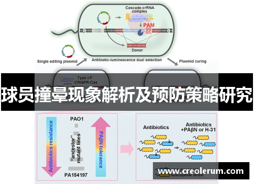 球员撞晕现象解析及预防策略研究